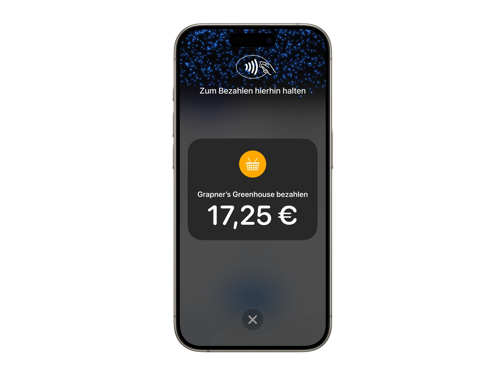 Tap to Pay on iPhone